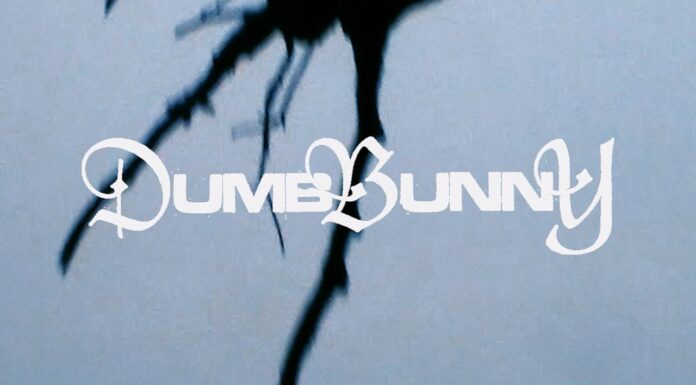 dumb bunny